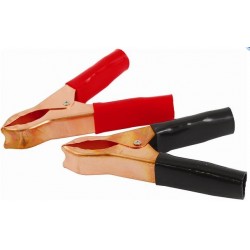 Accessoires Batteries Pinces à Batterie 12 V - 10 A