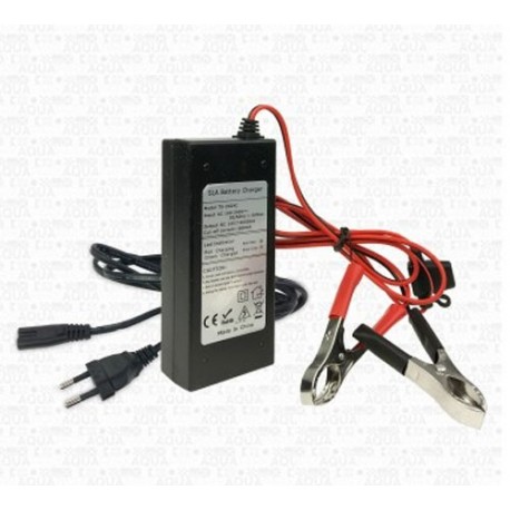 Chargeur 12V/4A