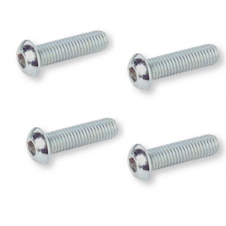 Pack de 4 Vis têtes rondes bombées 6x10