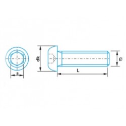 Pack de 4 Vis têtes rondes bombées 6x16