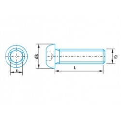 Audiophonics - Insert en Laiton pour Bois Filetage M6x20x8mm (Unité)