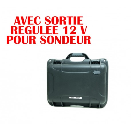 BATTERIE SH.LITHIUM 37,8V 100A