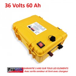  Batterie PROLITH PLPR 36 VOLTS 60 Ah avec sortie sondeur.