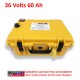 Batterie PROLITH PLPR 36 VOLTS 60 Ah avec sortie sondeur.