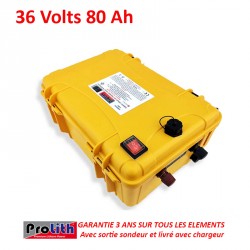 Batteries Lithium Batterie PROLITH PLPR 36 VOLTS 80 Ah avec sortie sondeur.