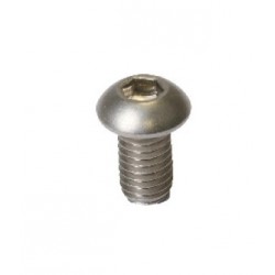 Accessoires Amiaud 100 VIS TRHC INOX M6 X 20 MM