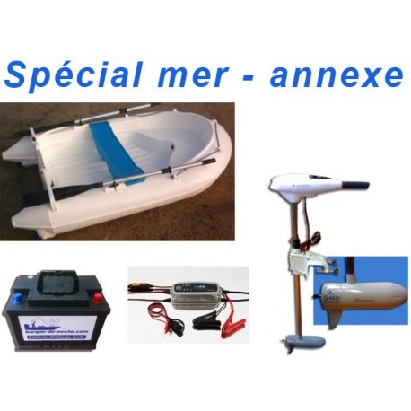 Neptea 220 + shakespeare 54 lbs + batterie +chargeur Neptea 220 + shakespeare 54 lbs + batterie +chargeur