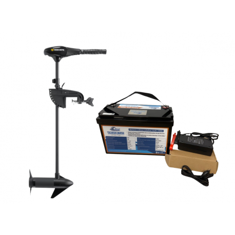 Pack Minn Kota Endura C2 V2 50 Lbs - Arbre 107 cm - 12V + Batterie Lithium LiFePO4 12.8V 100Ah + Chargeur