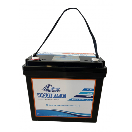 batterie lithium LiFePo4 12.8V 100Ah